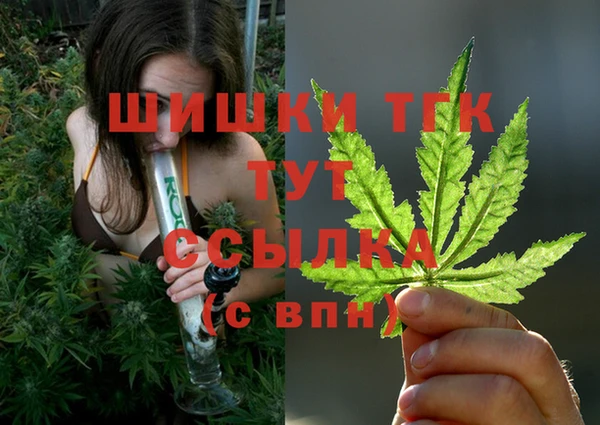 спиды Абаза