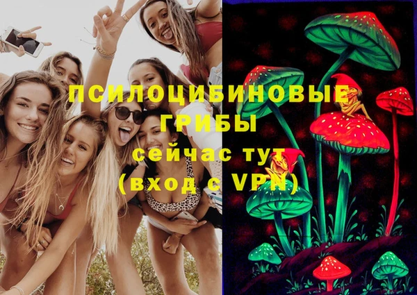 спиды Абаза