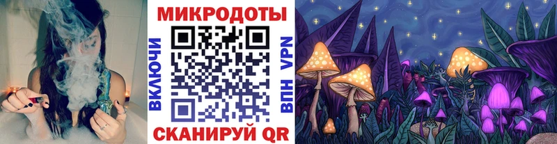 где найти наркотики  Усть-Катав  Псилоцибиновые грибы Psilocybe 